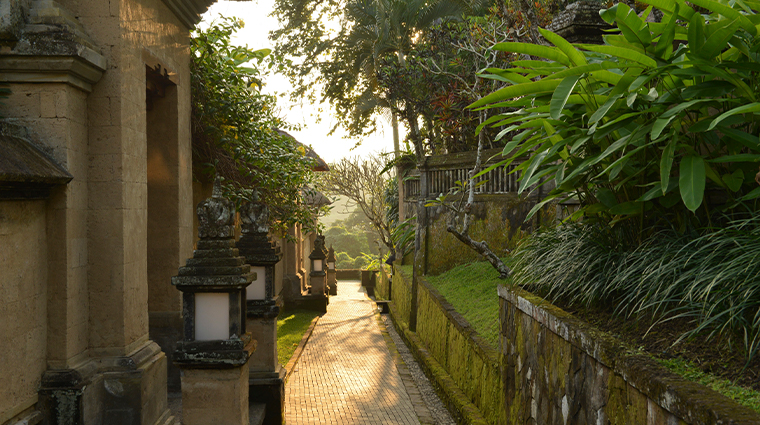 amandari main pathway