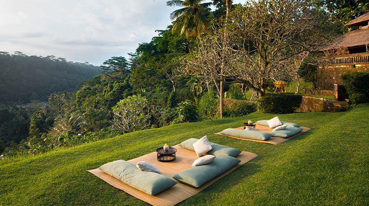 amandari picnic setup
