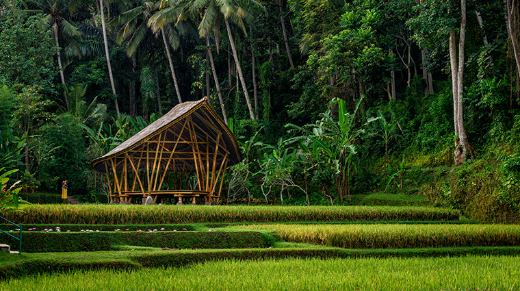 four seasons resort bali at sayan yoga bale