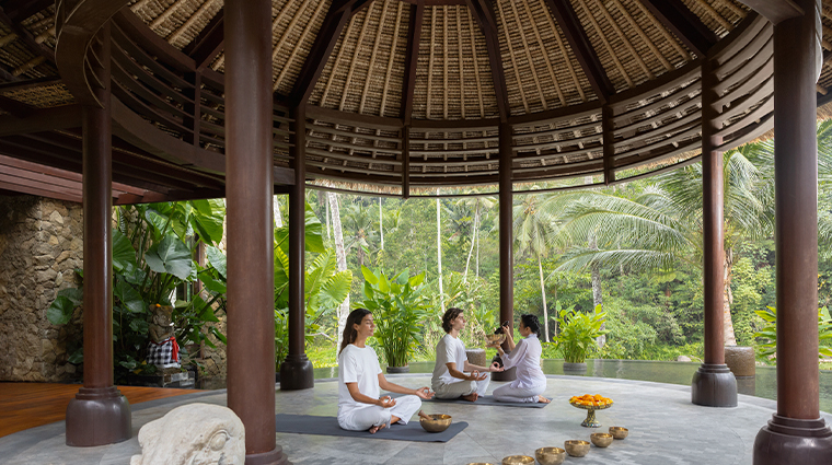 mandapa spa vibrational sound therapy
