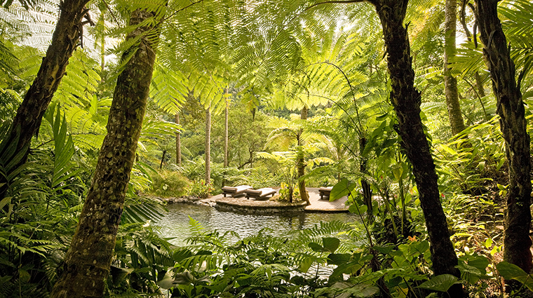 Property COMOShambhalaEstate Hotel PublicSpaces KedaraWellnessAreaPool TheCOMOGroup